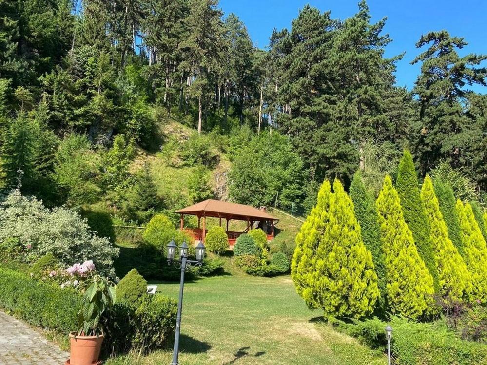 فندق Bellavista Brasov ساتْشيلي المظهر الخارجي الصورة