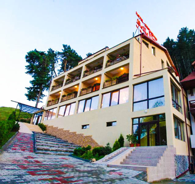 فندق Bellavista Brasov ساتْشيلي المظهر الخارجي الصورة