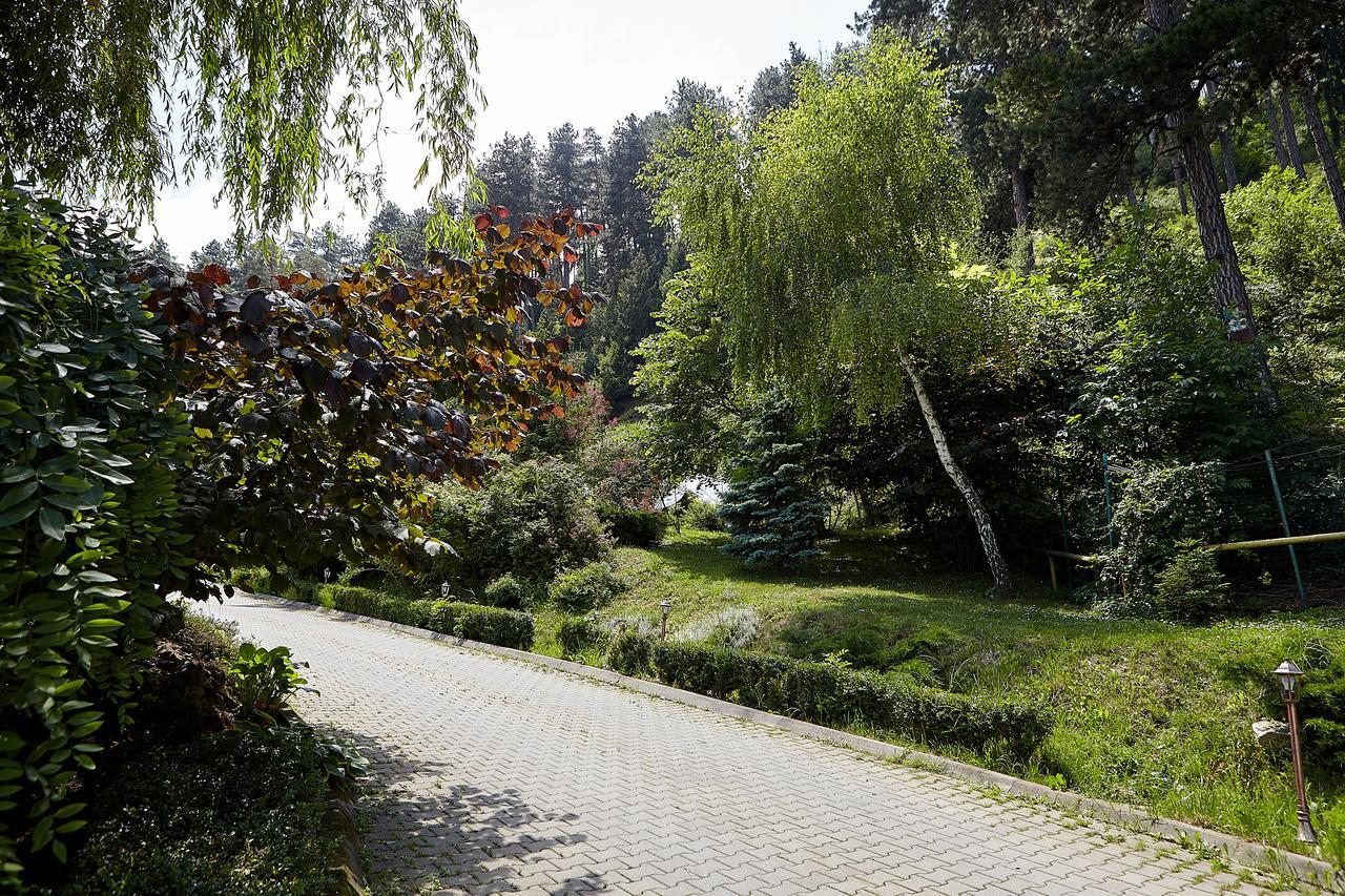فندق Bellavista Brasov ساتْشيلي المظهر الخارجي الصورة